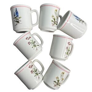 Set of 7 La Primula PRL8 Botanical Mugs Cups Made in Italy Pink Trim Wild Flower